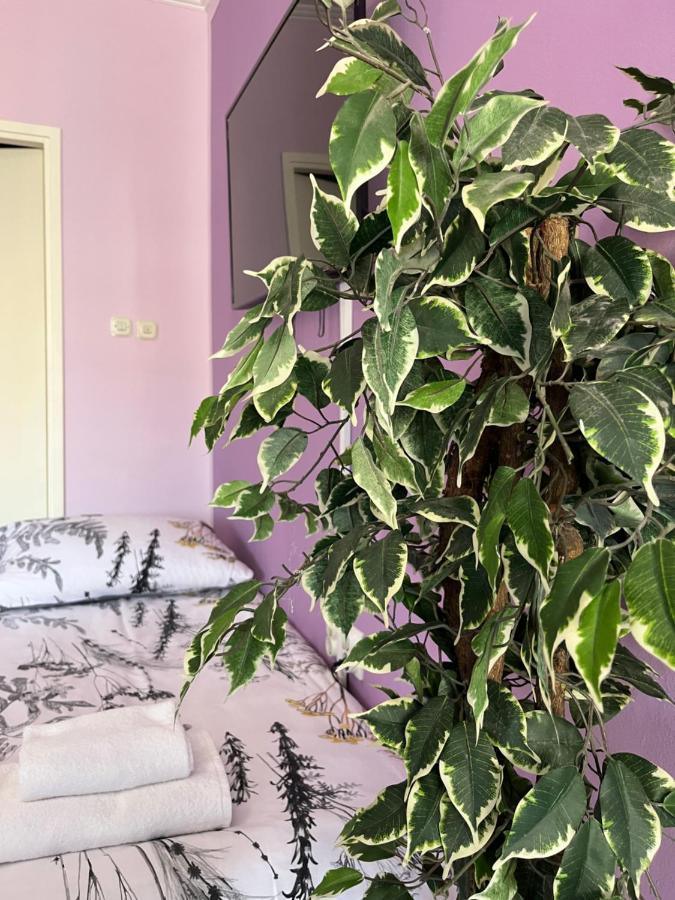 Apartman Lora Apartment Рийека Екстериор снимка